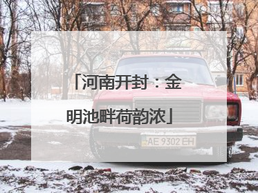 河南开封：金明池畔荷韵浓
