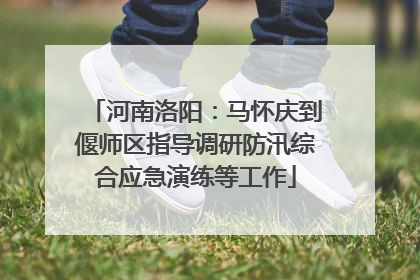 河南洛阳：马怀庆到偃师区指导调研防汛综合应急演练等工作