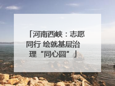 河南西峡：志愿同行 绘就基层治理“同心圆”