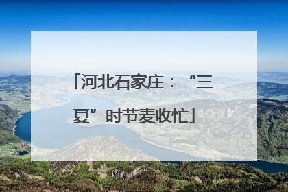 河北石家庄：“三夏”时节麦收忙