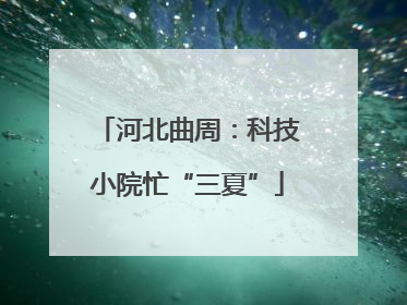 河北曲周：科技小院忙“三夏”