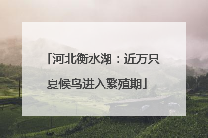 河北衡水湖：近万只夏候鸟进入繁殖期