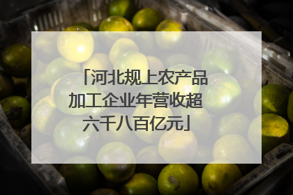 河北规上农产品加工企业年营收超六千八百亿元