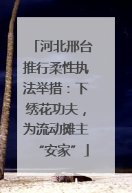 河北邢台推行柔性执法举措：下绣花功夫，为流动摊主“安家”