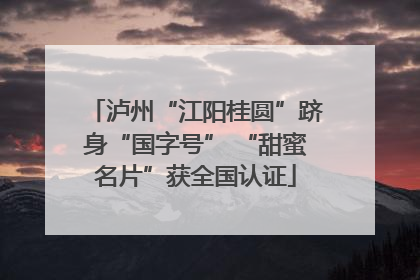 泸州“江阳桂圆”跻身“国字号” “甜蜜名片”获全国认证