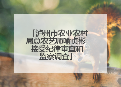 泸州市农业农村局总农艺师喻贞彬 接受纪律审查和监察调查