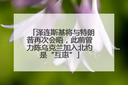 泽连斯基将与特朗普再次会晤，此前曾力陈乌克兰加入北约是“互惠”
