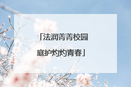 法润菁菁校园 庭护灼灼青春