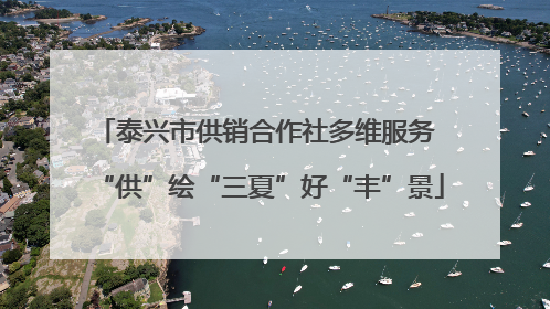 泰兴市供销合作社多维服务 “供”绘“三夏”好“丰”景