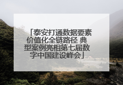泰安打通数据要素价值化全链路径 典型案例亮相第七届数字中国建设峰会