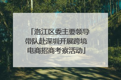 洛江区委主要领导带队赴深圳开展跨境电商招商考察活动