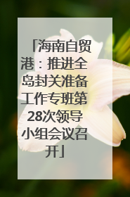 海南自贸港：推进全岛封关准备工作专班第28次领导小组会议召开