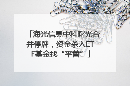 海光信息中科曙光合并停牌，资金杀入ETF基金找“平替”