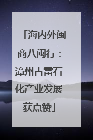 海内外闽商八闽行：漳州古雷石化产业发展获点赞