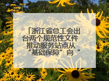 浙江省总工会出台两个规范性文件 推动服务站点从“基础保障”向“品质服务”跃升