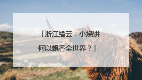 浙江缙云：小烧饼何以飘香全世界？