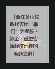 浙江各市党政代表团“串门”为哪般？鲍金：重塑省域经济地理的破题之道