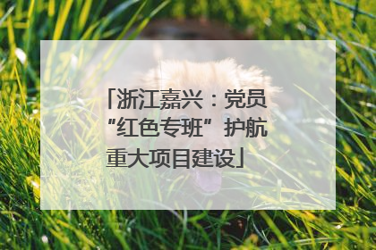 浙江嘉兴：党员“红色专班”护航重大项目建设