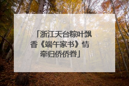浙江天台粽叶飘香《端午家书》情牵归侨侨眷