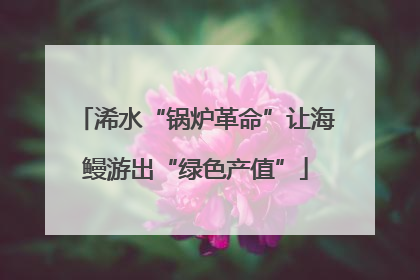 浠水“锅炉革命”让海鳗游出“绿色产值”