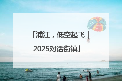 浦江，低空起飞｜2025对话街镇