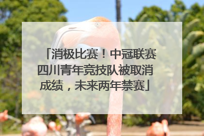 消极比赛！中冠联赛四川青年竞技队被取消成绩，未来两年禁赛
