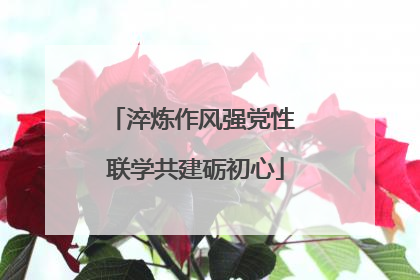 淬炼作风强党性 联学共建砺初心