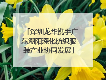 深圳龙华携手广东潮阳深化纺织服装产业协同发展