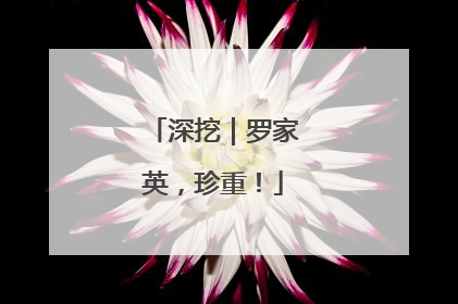 深挖｜罗家英，珍重！