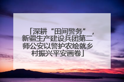 深耕“田间警务”，新疆生产建设兵团第二师公安以警护农绘就乡村振兴平安画卷