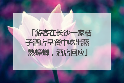游客在长沙一家桔子酒店早餐中吃出蒸熟蟑螂，酒店回应