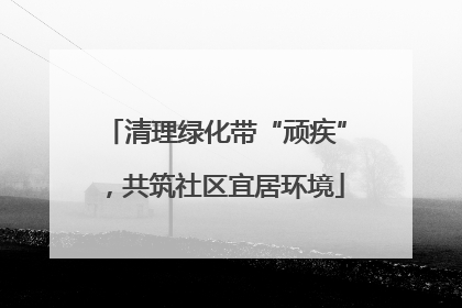 清理绿化带“顽疾”，共筑社区宜居环境