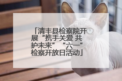 清丰县检察院开展“携手关爱 共护未来”“六一”检察开放日活动