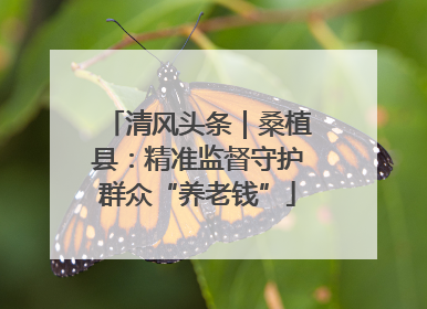 清风头条｜桑植县：精准监督守护群众“养老钱”