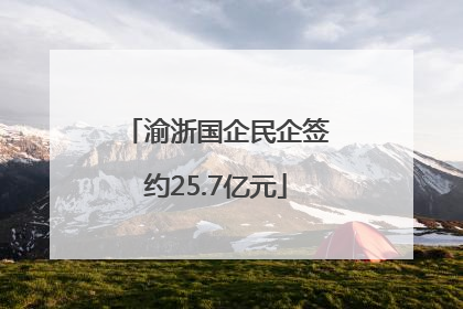 渝浙国企民企签约25.7亿元