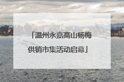 温州永嘉高山杨梅供销市集活动启幕