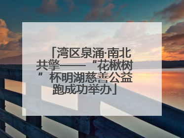湾区泉涌·南北共擎——“花楸树”杯明湖慈善公益跑成功举办