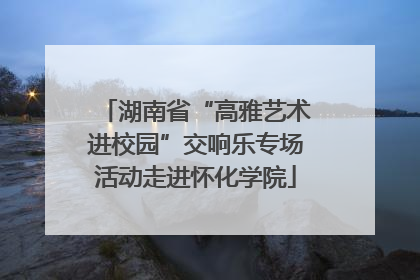 湖南省“高雅艺术进校园”交响乐专场活动走进怀化学院