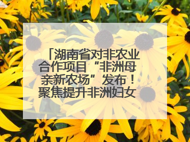 湖南省对非农业合作项目“非洲母亲新农场”发布！聚焦提升非洲妇女能力与家庭福祉