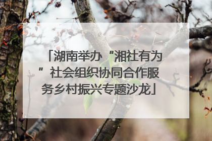 湖南举办“湘社有为”社会组织协同合作服务乡村振兴专题沙龙