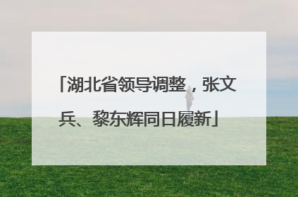 湖北省领导调整，张文兵、黎东辉同日履新