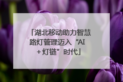 湖北移动助力智慧路灯管理迈入“AI＋灯链”时代