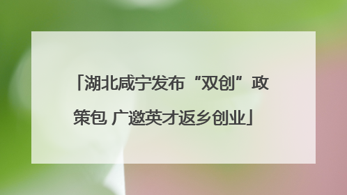湖北咸宁发布“双创”政策包 广邀英才返乡创业