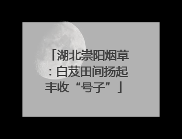 湖北崇阳烟草：白芨田间扬起丰收“号子”