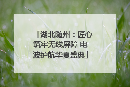 湖北随州：匠心筑牢无线屏障 电波护航华夏盛典