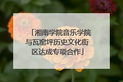 湘南学院音乐学院与瓦窑坪历史文化街区达成专项合作