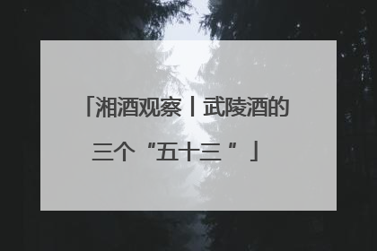 湘酒观察丨武陵酒的三个“五十三 ”