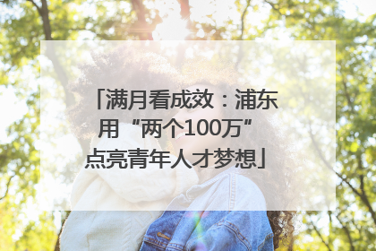 满月看成效：浦东用“两个100万”点亮青年人才梦想