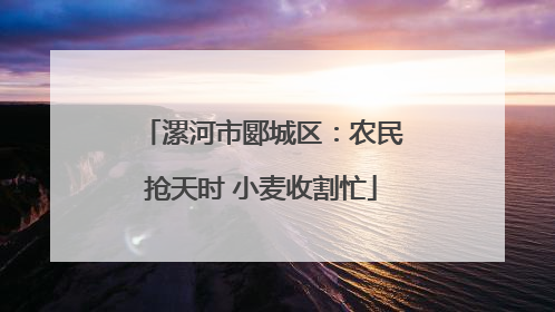 漯河市郾城区：农民抢天时 小麦收割忙