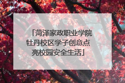 菏泽家政职业学院牡丹校区学子创意点亮校园安全生活